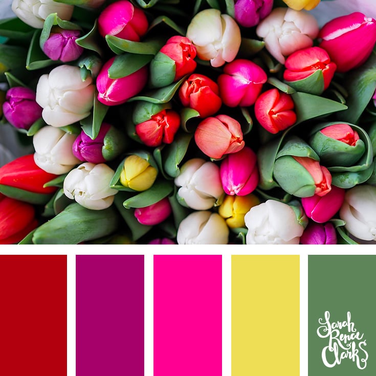 https://sarahrenaeclark.com/wp-content/uploads/2018/03/color-palette-084-tulips.jpg