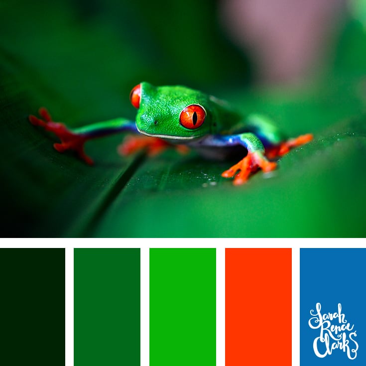 Green frog color palette