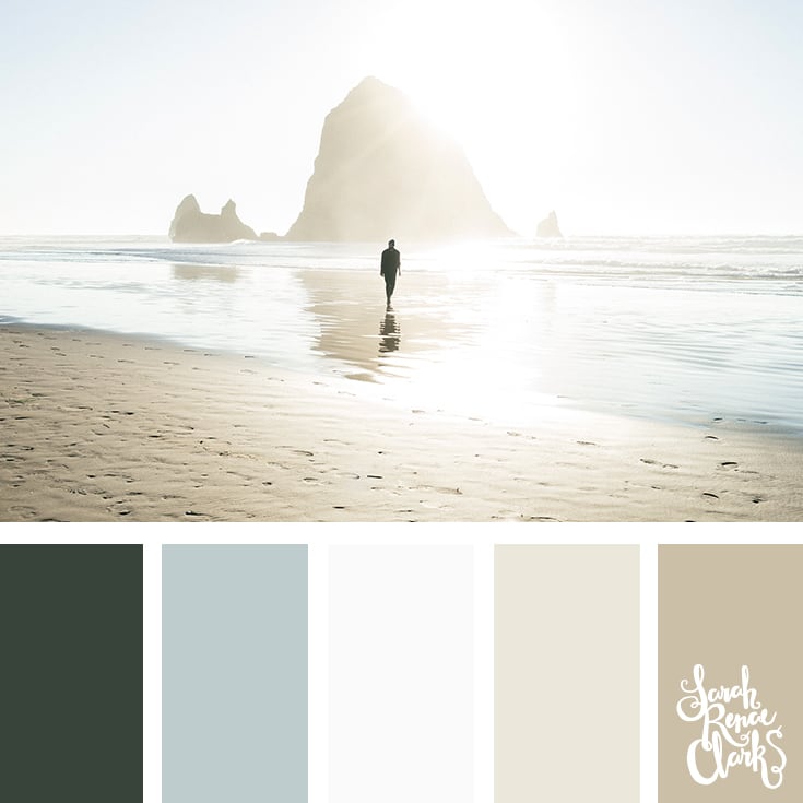 Moody beach color palette