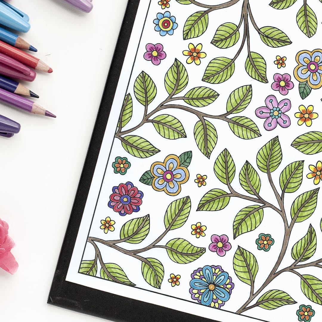 The Best Adult Coloring Books - Best Colored Pencils - Reviews and Picks