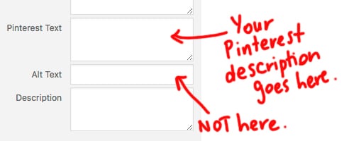 tasty-pins-pinterest-description Write your Pinterest description in the alt-image field on your website images | Pinterest Marketing Tips | www.sarahrenaeclark.com