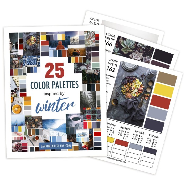 25 Color Palettes Inspired by Winter | Printable PDF color guide
