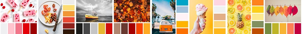 color palette, color scheme, color combination