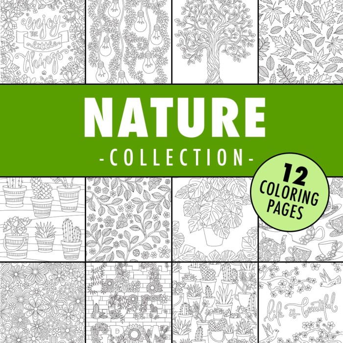 nature coloring page collection