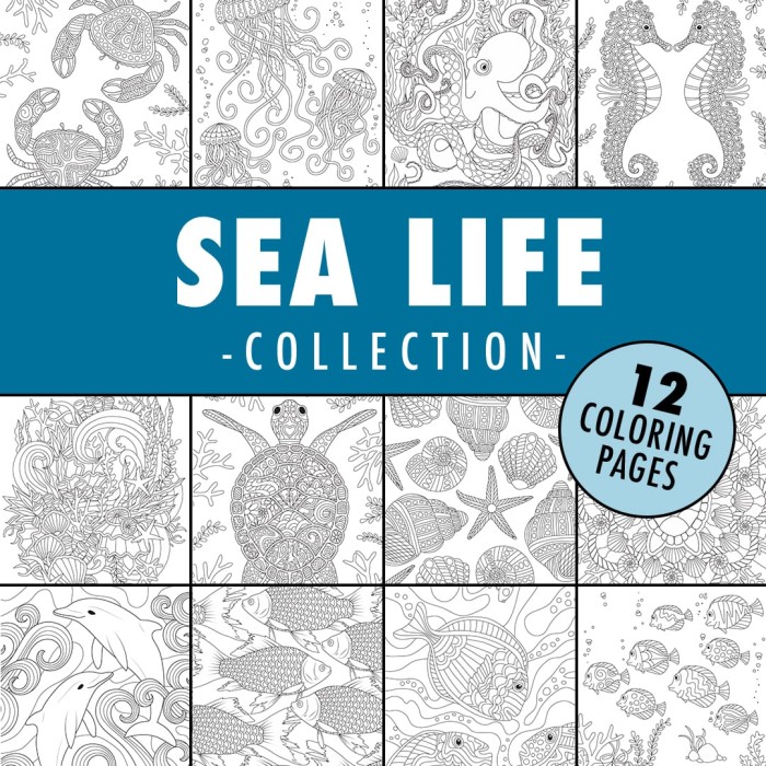 sea life coloring page collection