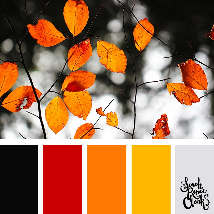 Color Palette - red, orange, yellow, black