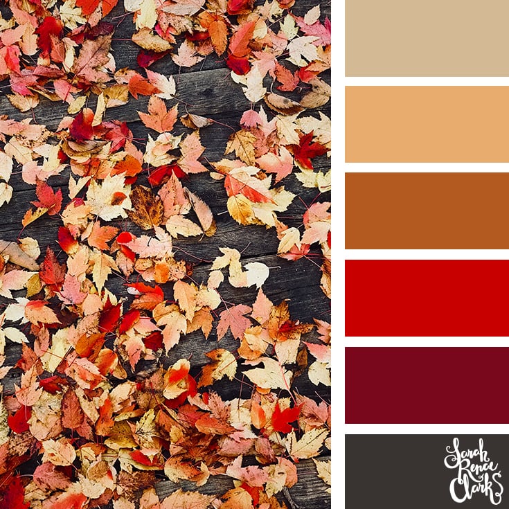 Color Palette - red, brown, black