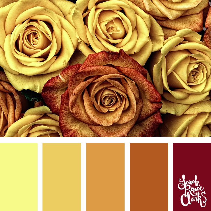 Color Palette - yellow, orange, brown