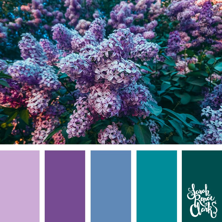 Color Palette - lilac, purple, blue, teal - Sarah Renae Clark - Coloring Book Artist and Designer