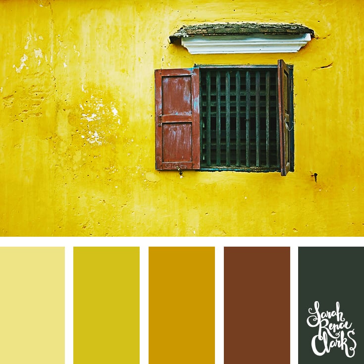 Color Palette - yellow, mustard, brown