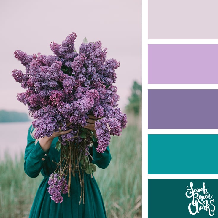 Color Palette - Purple, lilac, teal