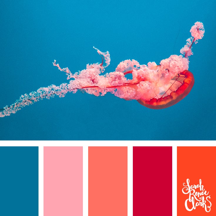 Vibrant jellyfish color scheme - color palettes, color schemes