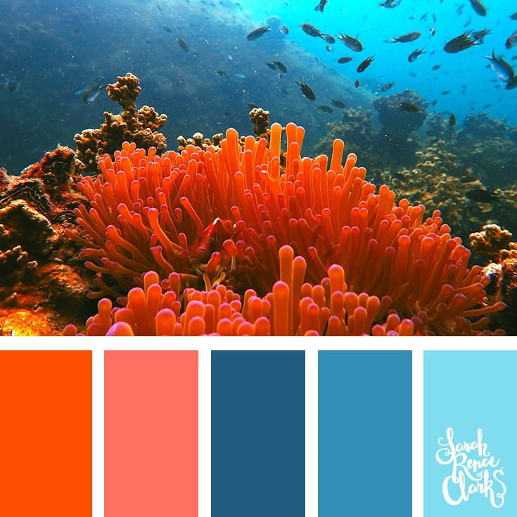 25 Color Palettes Inspired By Ocean Life And Pantone Living Coral