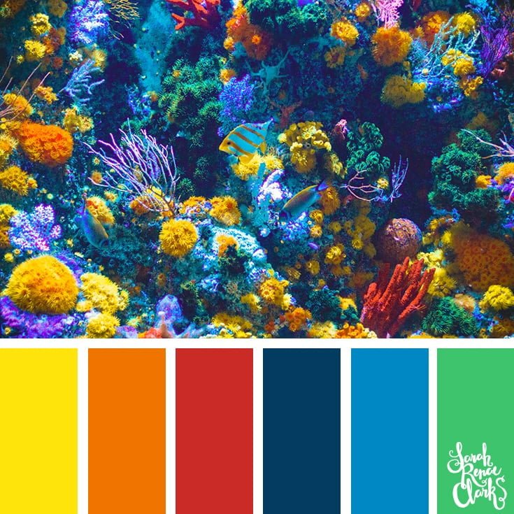 Coral reef color inspiration - color palettes, color schemes