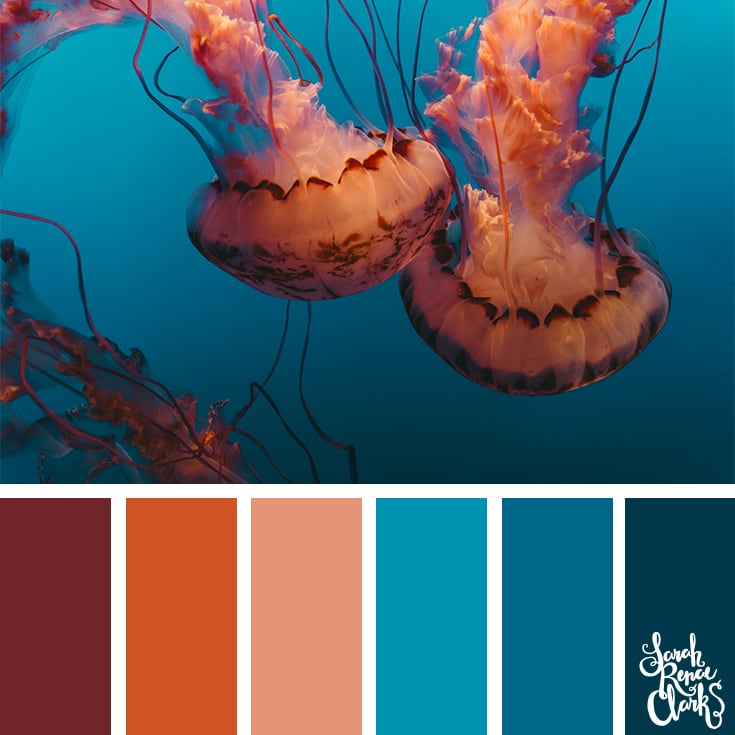 25 Color Palettes Inspired By Ocean Life And Pantone Living Coral