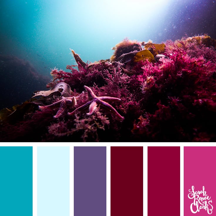 Living coral color inspiration - color palettes, color schemes