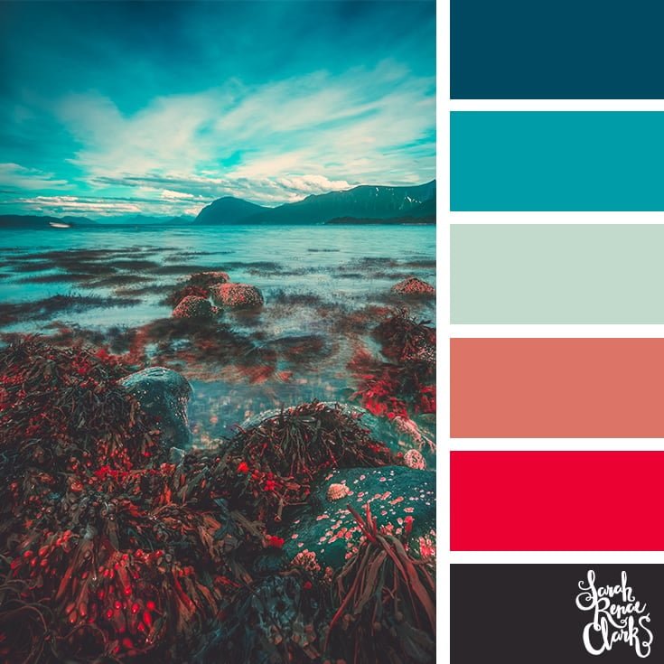 Color Inspiration Thursday {35}  Ocean color palette, Color inspiration, Ocean  colors