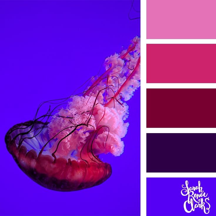 Pink and blue colors - color palettes, color schemes