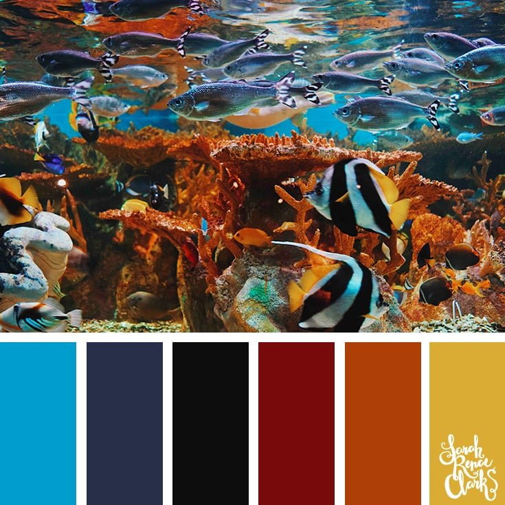 25 Color Palettes Inspired By Ocean Life And Pantone Living Coral