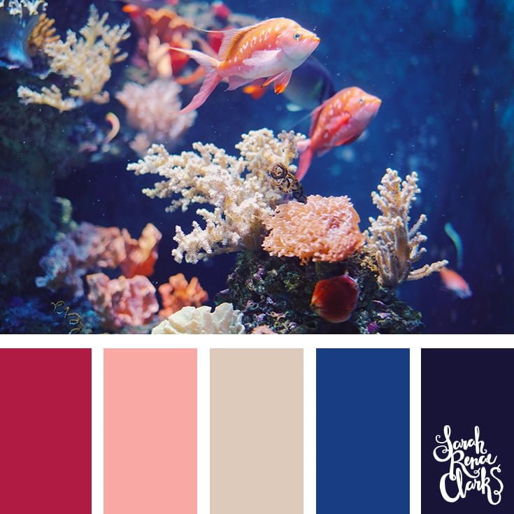 Fish color inspiration - color palettes, color schemes