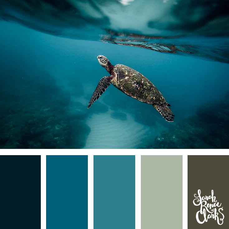 Teal color scheme - color palettes, color schemes