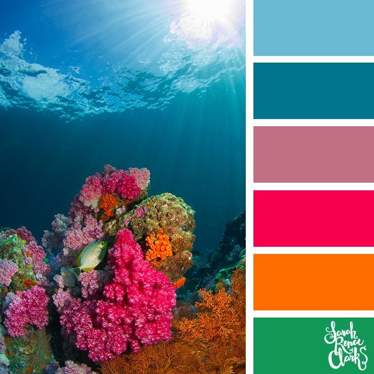 25 Color Palettes Inspired by Ocean Life and PANTONE Living Coral