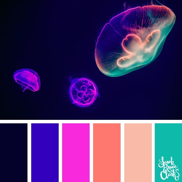 Rainbow jellyfish inspiration - color palettes, color schemes
