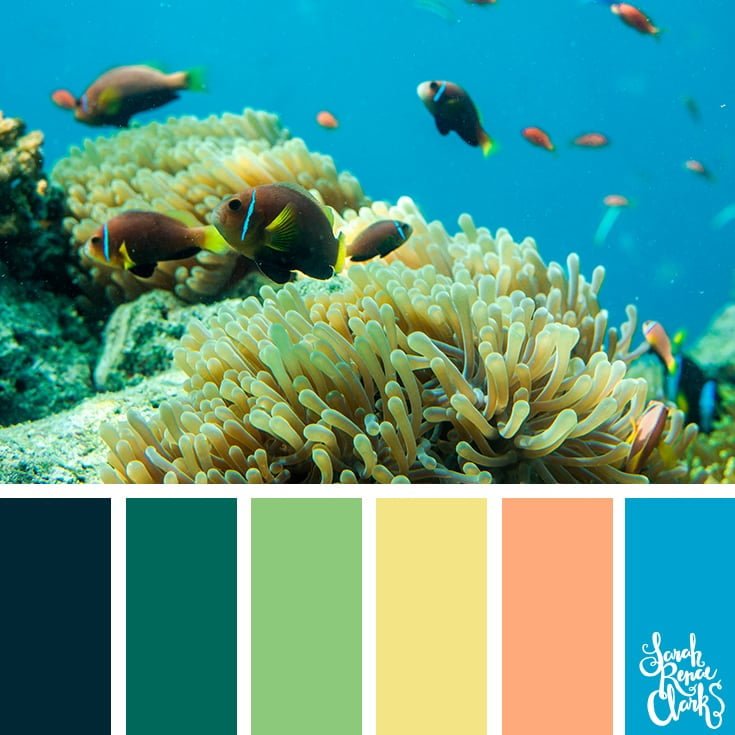 Underwater bright colors - color palettes, color schemes