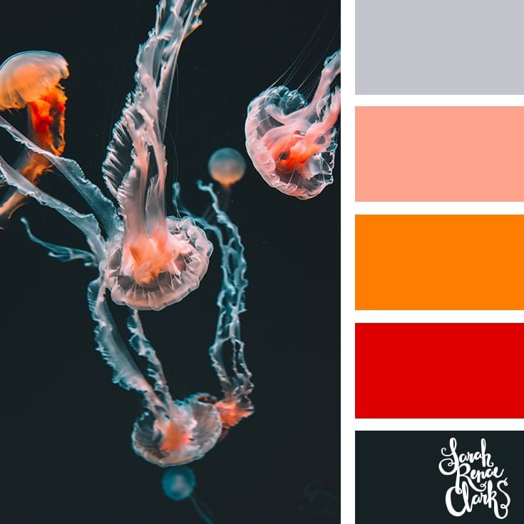 Bold jellyfish colors - color palettes, color schemes