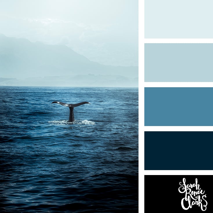 water Color Palette