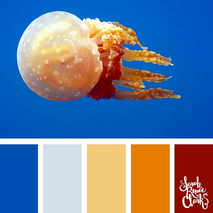 Bright jellyfish hues - color palettes, color schemes