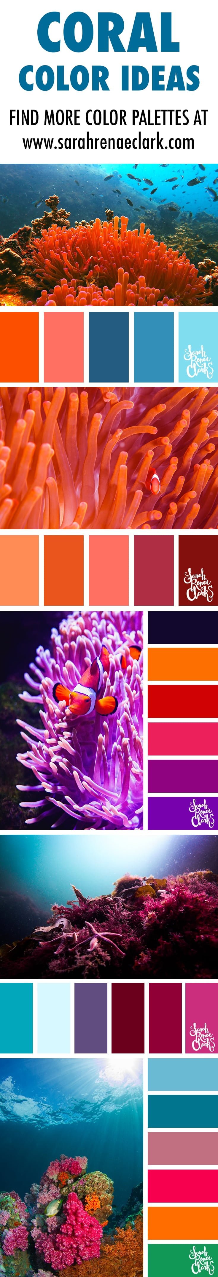 Download 25 Color Palettes Inspired By Ocean Life And Pantone Living Coral