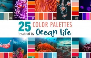 25 Color Palettes inspired by Ocean Life and PANTONE Living Coral