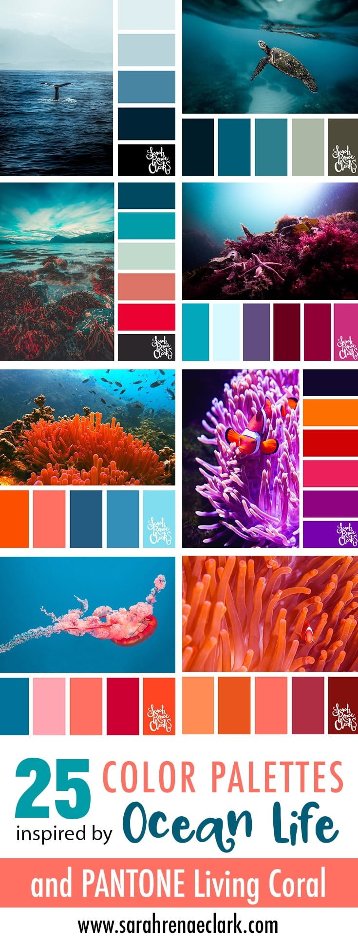 25 Color Palettes inspired by Ocean Life and PANTONE Living Coral