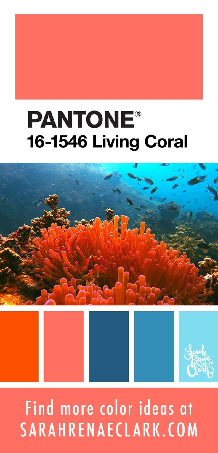 Color scheme with PANTONE Living Coral