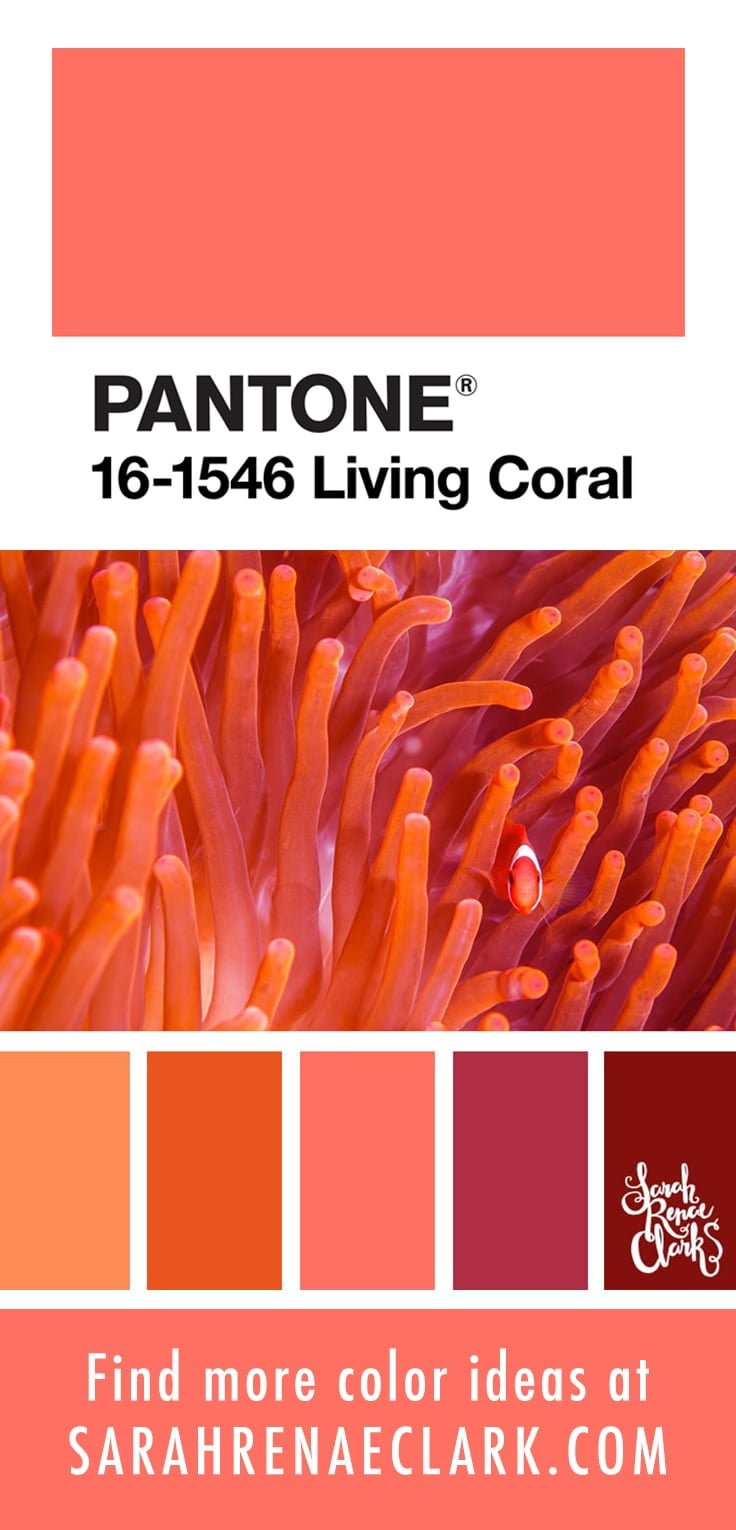 Coral Color Swatch Pantone