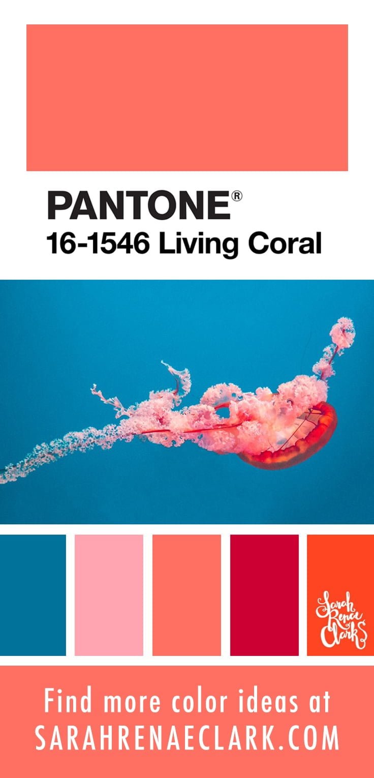 25 Color Palettes Inspired By Ocean Life And Pantone Living Coral 0374