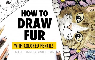 How to Draw Fur With Colored Pencils - Guest Tutorial by Carrie L. Lewis