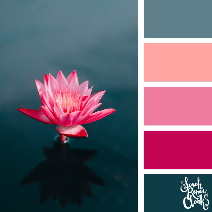 Pink flower color palette
