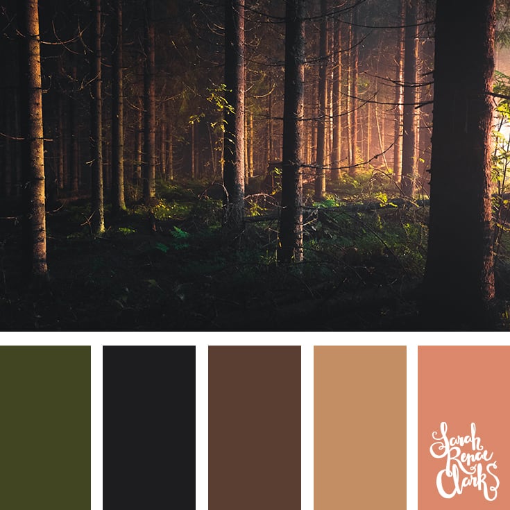 Forest colors