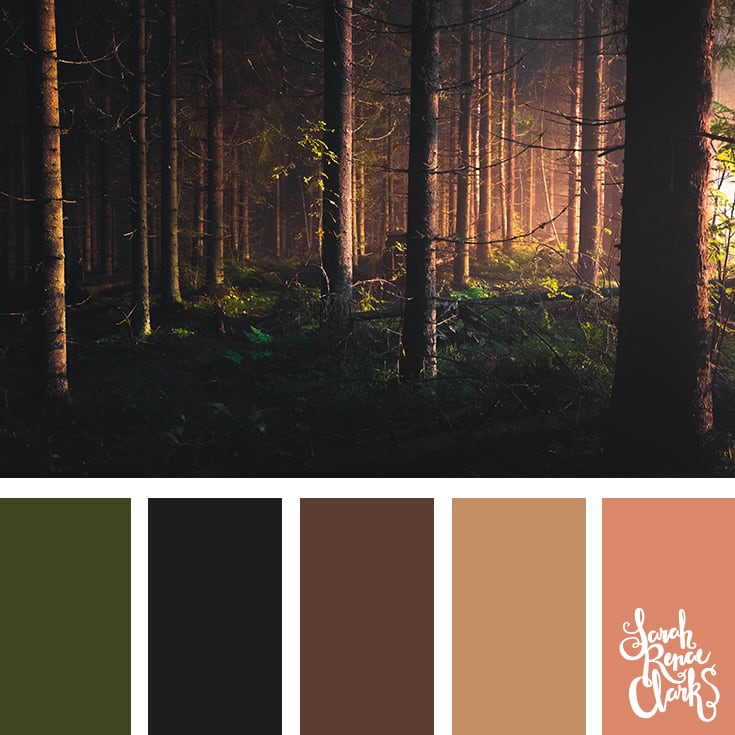 Color Jungle  Color dream, Palette, Color palette