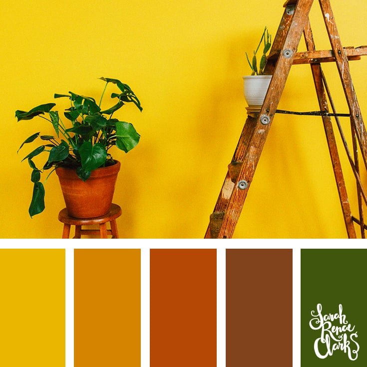 Mustard colors