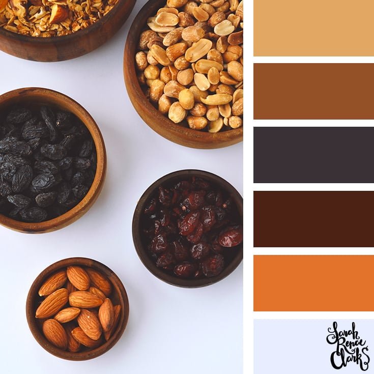 Color-Palette-334-nuts.jpg