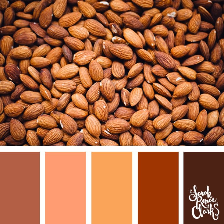 Color-Palette-340-almonds.jpg