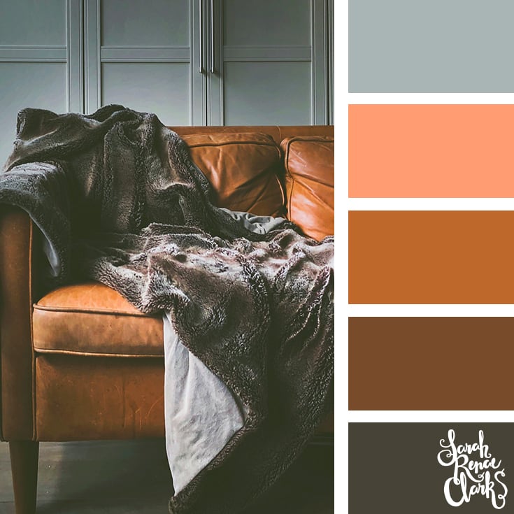Color-Palette-342-leather-couch.jpg