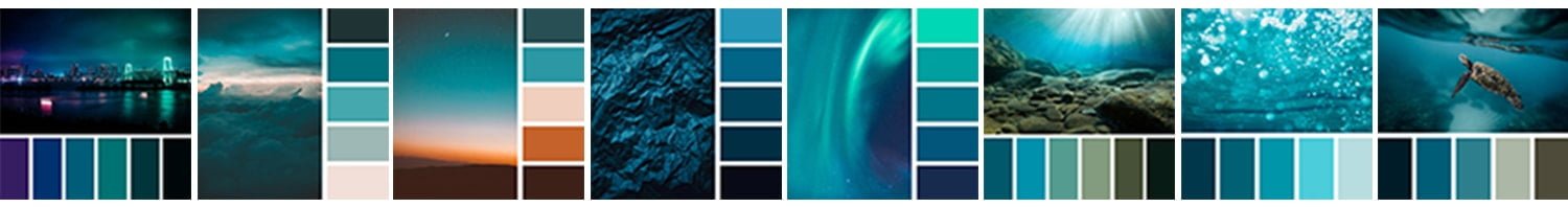 color-palette-strip 2 copy