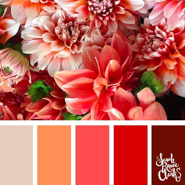 Pink and peach flower combo // 25 Floral Color Palettes