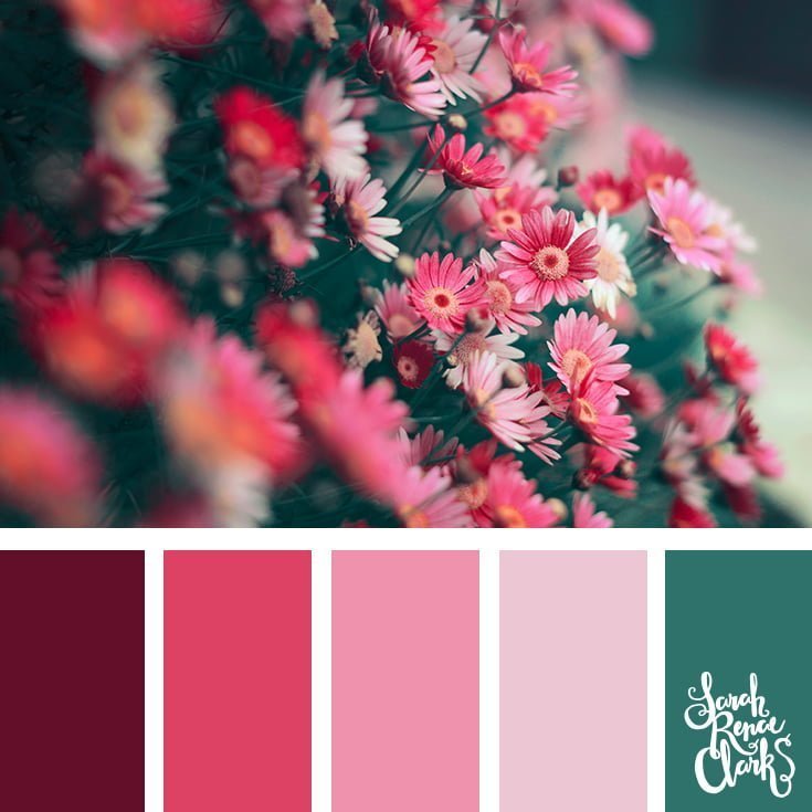 Pink flower arrangement // 25 Floral Color Palettes