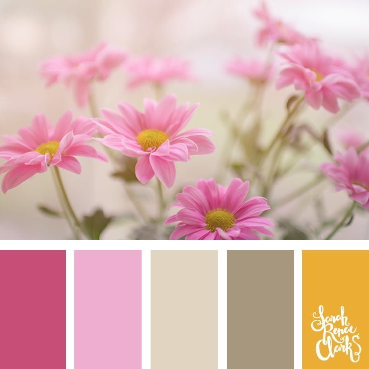 Pink Flowers 25 Floral Color Palettes Sarah Renae Clark Coloring Book Artist And Designer