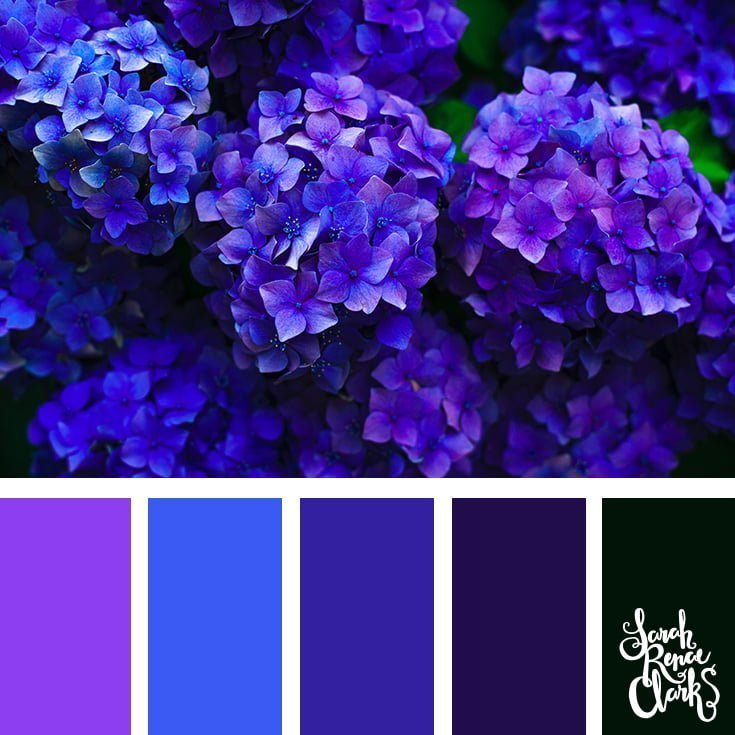 Blue flowers // 25 Floral Color Palettes